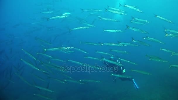 Buceo en Mallorca España — Vídeos de Stock