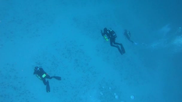 Diepe Duikers Boven Een Zandbodem — Stockvideo