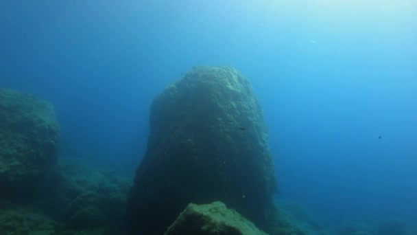 Paisaje Submarino Sin Vida — Vídeo de stock