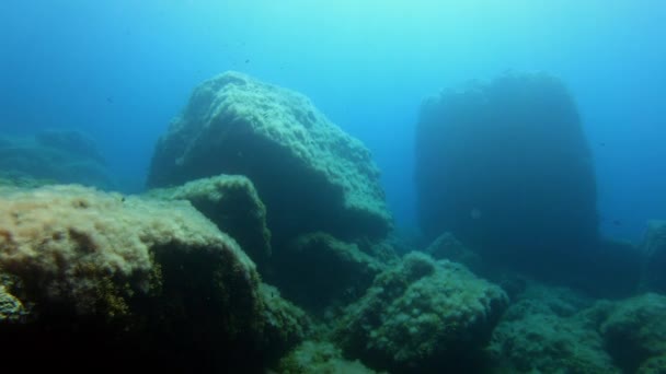 Undervattensöken Landskap Natur Havet — Stockvideo