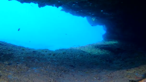 Pov Búvárkodás Egy Mediterrán Tengeri Barlangba — Stock videók