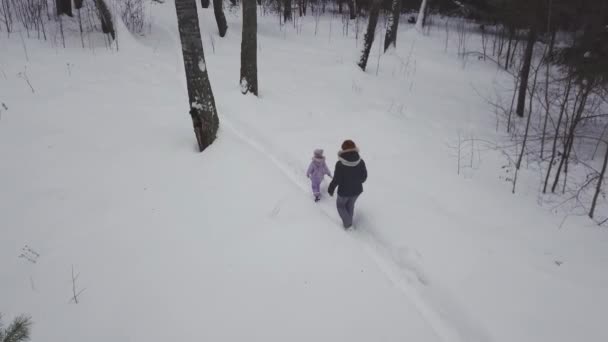 妈妈带着一个孩子在雪地的冬季森林里散步 冬天的时候 宝宝正和妈妈一起沿着小路走着去莱姆山 — 图库视频影像