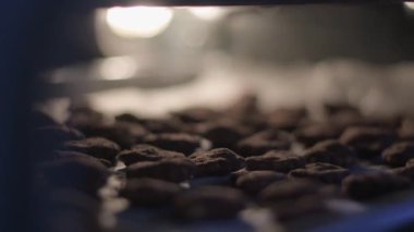 Fırında pişirilmiş çikolatalı kurabiyeler. Yakın plan zencefilli kurabiye. Fenerler fırına..