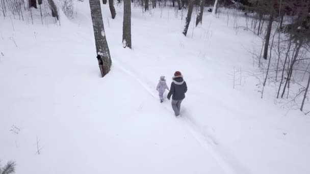 一个女孩和她的母亲走过冬天的森林 妈妈带着一个小女儿走在冬季森林的小径上 一家人在雪堆中穿行 — 图库视频影像