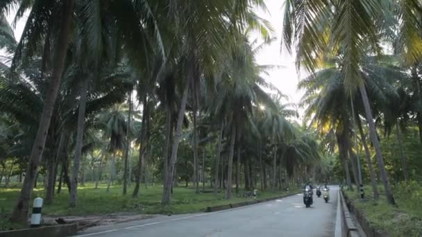 Друзья Ездят Скутерах Один Другим Асфальтированной Дороге Тропиках Несколько Велосипедов — стоковое видео