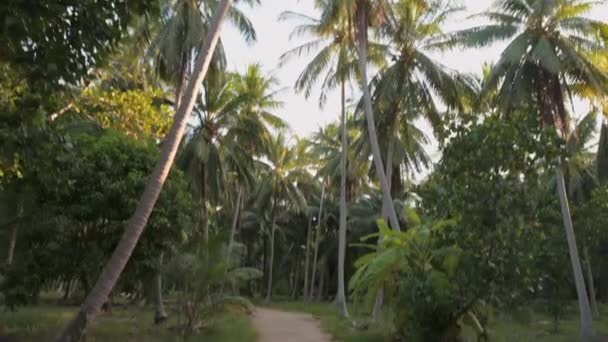 Two Motorcyclists Guy Girl Riding Jungle Bikes Rural Road Coconut — Stock Video