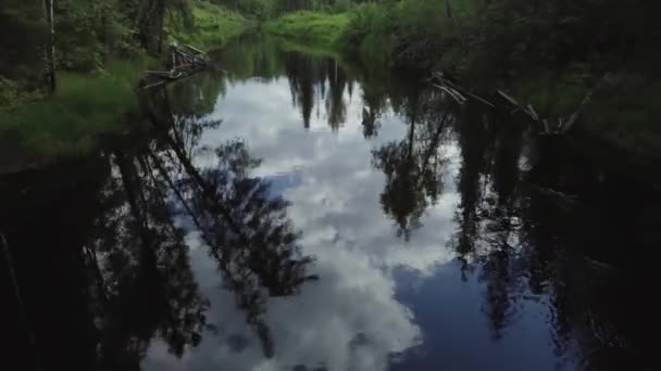 Survolez Rivière Eté Forêt Sibérienne Taïga Vue Aérienne Cold Stream — Video