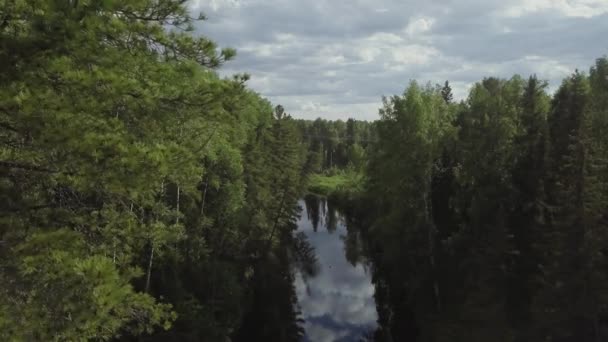 飞过河 西伯利亚夏季森林 泰加航空视图 冰冷的溪流自然景观 河流流 松驰框架 — 图库视频影像