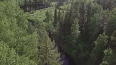Nehrin üzerinden uçmak. Sibirya yazı ormanı. Tayga hava manzarası. Soğuk akıntı. Doğa manzarası. Nehir akıyor. Gevşetici çerçeve. Güç hatları