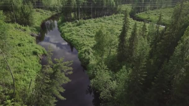 川を渡れ シベリアの夏の森 タイガ航空の眺め 冷たい流れだ 自然の風景 川の流れだ リラックスしたフレーム 送電線 — ストック動画