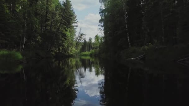 川を渡れ シベリアの夏の森 タイガ航空の眺め 冷たい流れだ 自然の風景 川の流れだ リラックスしたフレーム — ストック動画