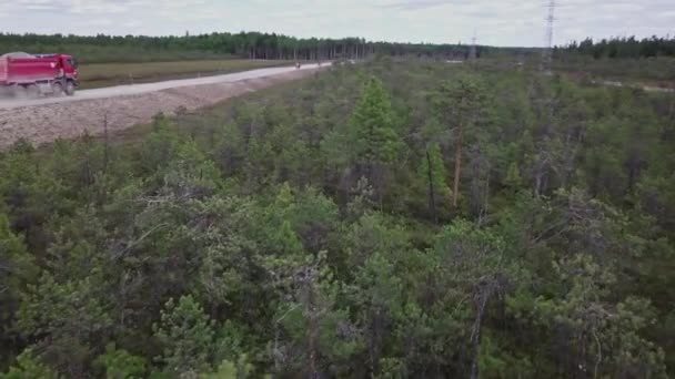 シベリアの若い森 湿地帯の森 トラックが田舎道を走っている — ストック動画