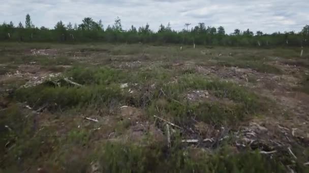 人間の土壌に触れません 森の近くの肥沃な土地 現場での防風 — ストック動画