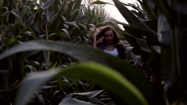 Девушка проходит через Корнфилд и Улыбки — стоковое видео