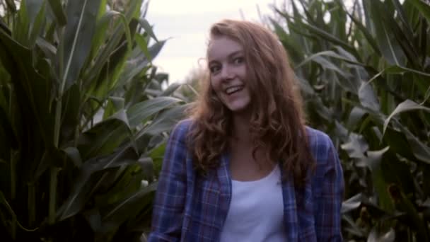 Красива дівчина в кукурудзяному полі посміхається — стокове відео