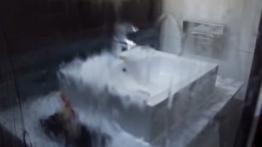 Modern banyo ve lavabo iç görünümü