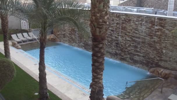 Terraço da piscina e palmas — Vídeo de Stock