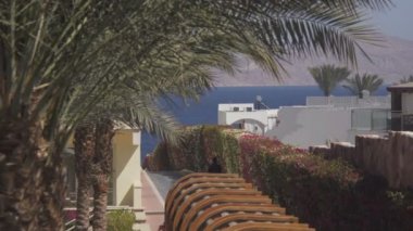 Deniz Manzaralı Teras ve avuç içi