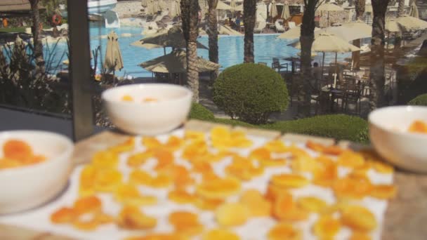 Абрикос: апельсиновые свежие абрикосы на террасе у бассейна — стоковое видео