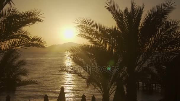 Aufgehende Sonne durch die Palmen über dem Meer und den Wüstenbergen — Stockvideo