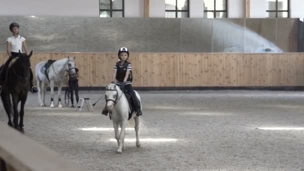 Kinderen rijden een paard. 10.08.2017. Kiev. Oekraïne. — Stockvideo