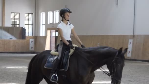 Kinderen rijden een paard. 10.08.2017. Kiev. Oekraïne. — Stockvideo