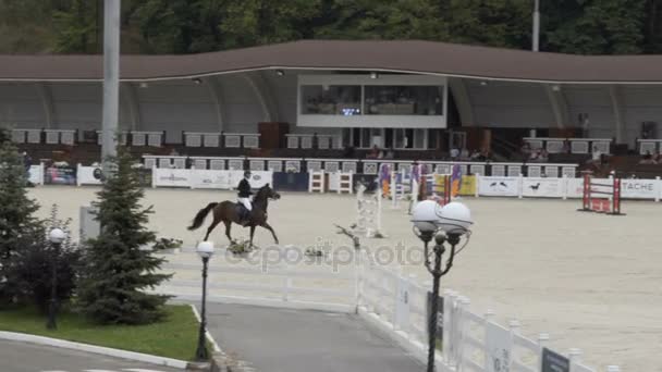 Salto de espetáculo. Cavalo de equitação.. 10.08.2017. Kiev. Ucrânia . — Vídeo de Stock