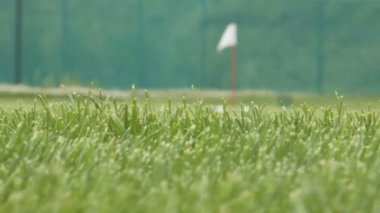 Golf chip ve pitch eğitim alanı