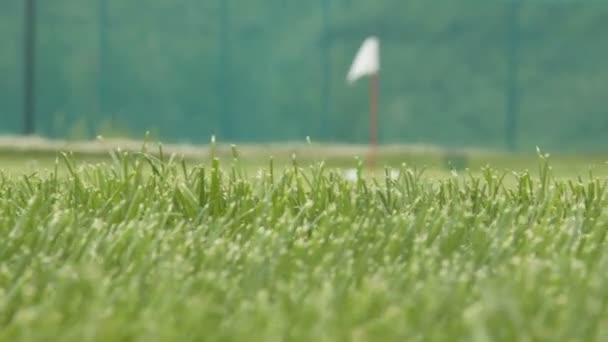 Campo de golf chip y campo de entrenamiento — Vídeos de Stock