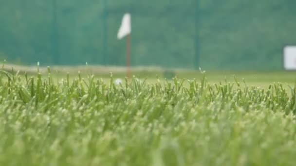 Campo de golf chip y campo de entrenamiento — Vídeos de Stock