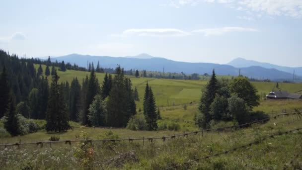 Prairies et bois au milieu des montagnes — Video