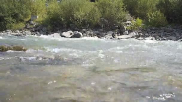 Un río de montaña fluye a lo largo del bosque — Vídeos de Stock