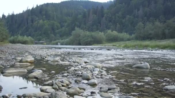 Un río de montaña fluye a lo largo del bosque — Vídeos de Stock