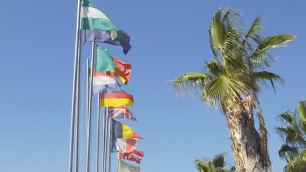 Флаги стран рядом с пальмами на курорте — стоковое видео