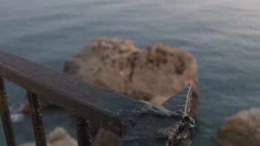 Okyanus plaj yakınında tehlikeli rock