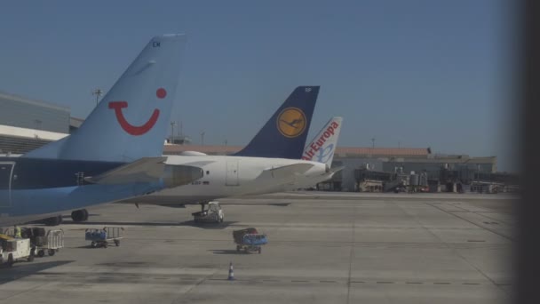 Wit vliegtuig stuurt naar de terminal op de luchthaven na de landing. 05.10.2017 Malaga, Spanje — Stockvideo