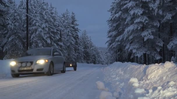 Zimní krajina. Chodit v zimě lese. Snow world. V zimě je příběh. — Stock video