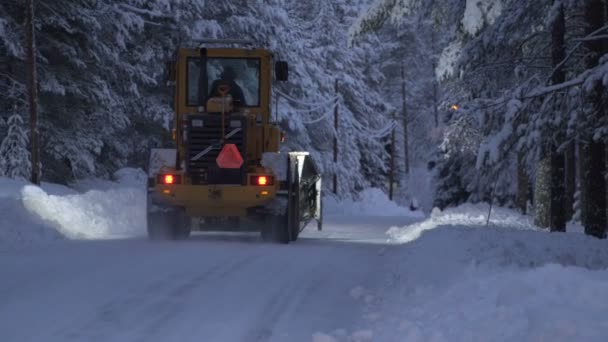 Snöröjning. Traktor banar vägen efter snöfall i skogen — Stockvideo