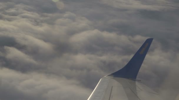 Flying above the beautiful clouds in the morning sky — Stock Video