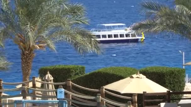 Elegante y elegante barco de motor en marcha. Yate y Tropic Island — Vídeos de Stock