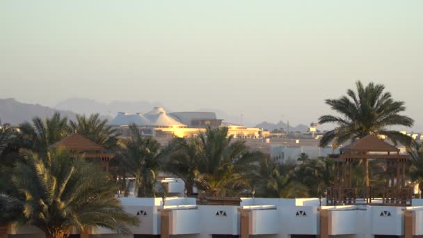 Aeroporto internacional no paraíso tropical. Sharm-El-Sheikh, Egito — Vídeo de Stock