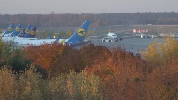 空港の商業用飛行機駐車場。キエフ、ウクライナ16.11.2019 — ストック動画