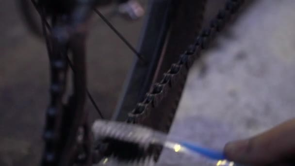 Arbetar med att reparera cykeln. Cykeldelar. — Stockvideo