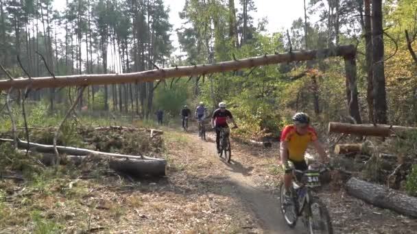 Cyklisten Cykla på den vackra vårskogsstigen. Kiev, Ukraina, 20.03.2020 — Stockvideo