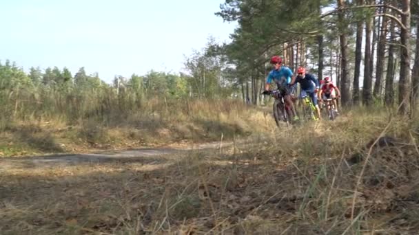 Cycliste Monter le vélo sur le magnifique sentier forestier de printemps. Kiev, Ukraine, 20.03.2020 — Video