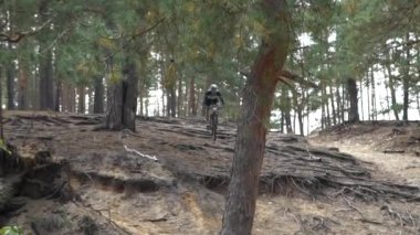 Bisikletçi Bisikletle Güzel Bahar Ormanı Yolu 'nda. Kyiv, Ukrayna, 20.03.2020