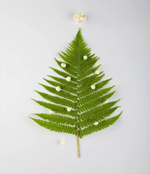 Árbol de Navidad hecho de hojas y ramas de helecho. Concepto de vacaciones . Imágenes de stock libres de derechos