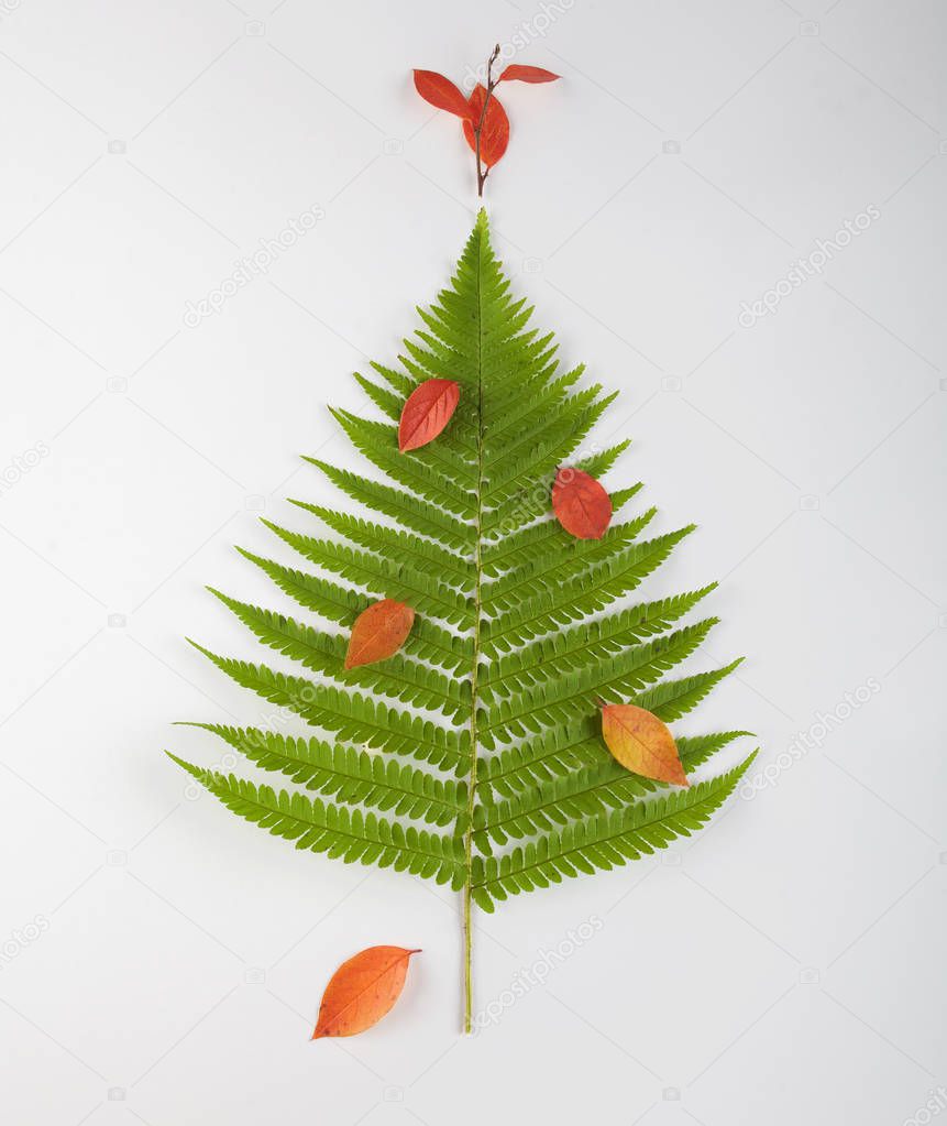 Christmas tree made of fern leaves and branches. Holiday concept.