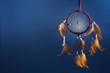 Dreamcatcher rengi kadife arka plan üzerinde