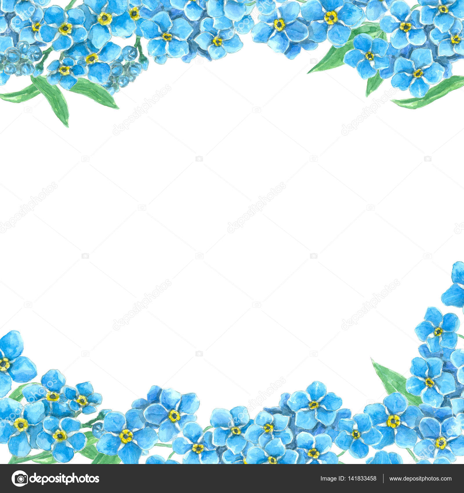 Forget Me Not Borders Stock Photo By C Katerinamk